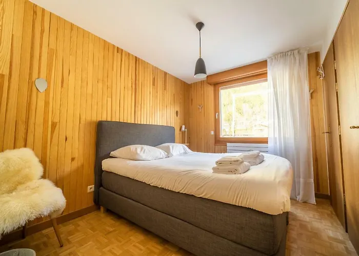 Grand Appt Vue Mont Blanc Apartment