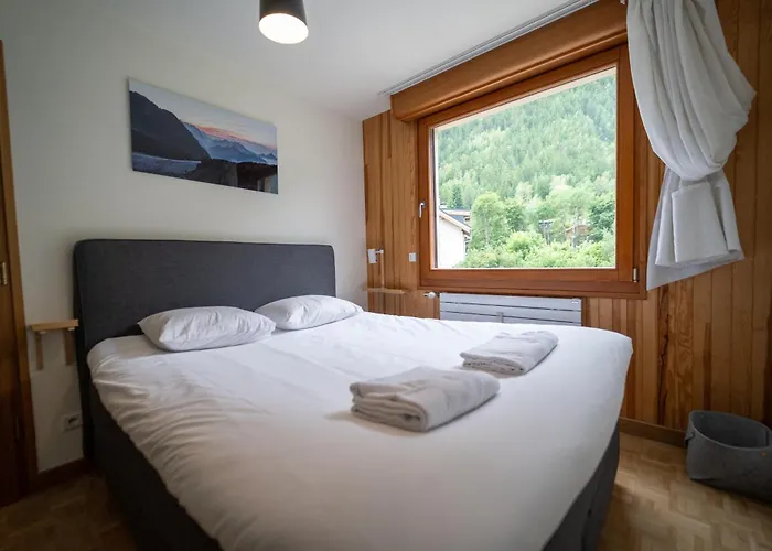 Grand Appt Vue Mont Blanc 公寓 霞慕尼