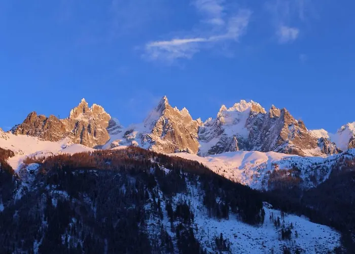 Grand Appt Vue Mont Blanc 公寓