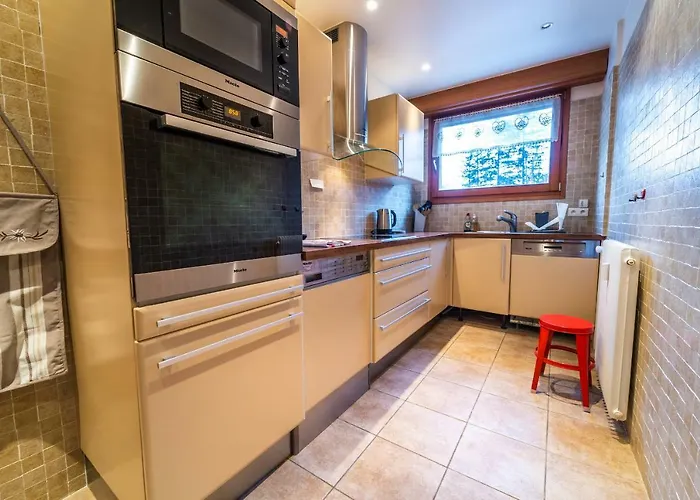 Grand Appt Vue Mont Blanc 公寓